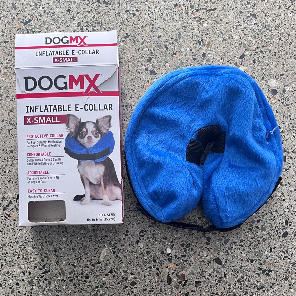 New XS Inflatable Pet Collar